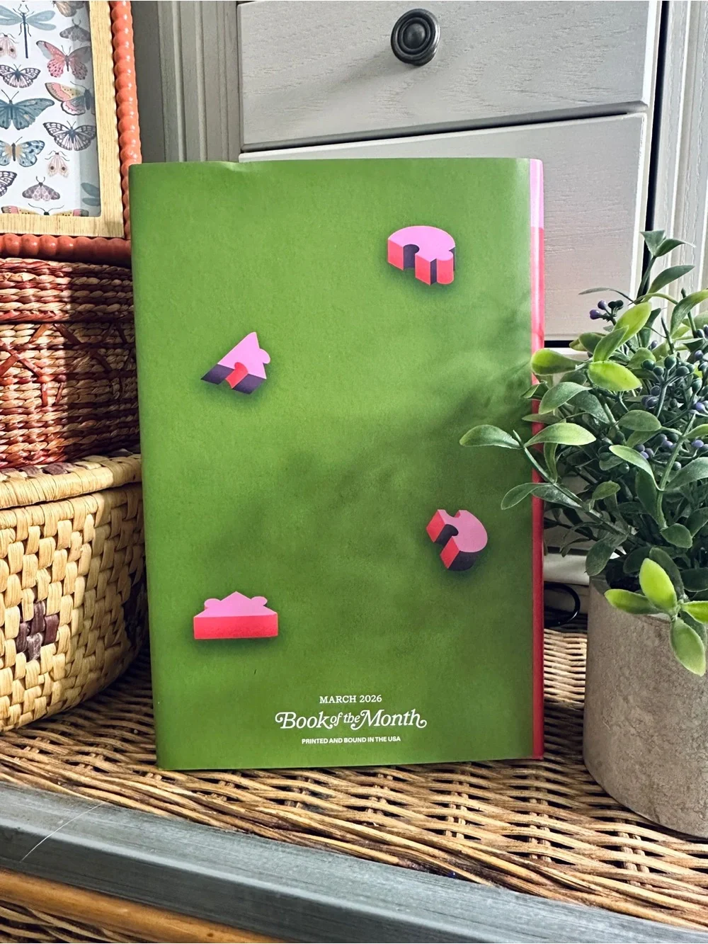 Love is an Algorithm Book of the Month Contemporary Fiction Hardcover Novel